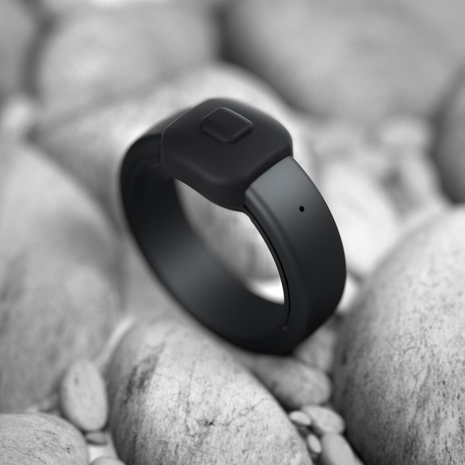 Pebble Index 01 - 1